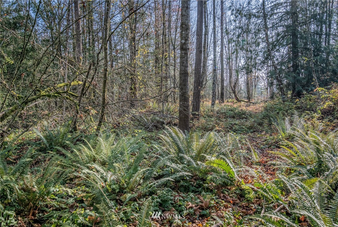 5931 Noon Road Bellingham, WA 98226 - Photo 8 of 14