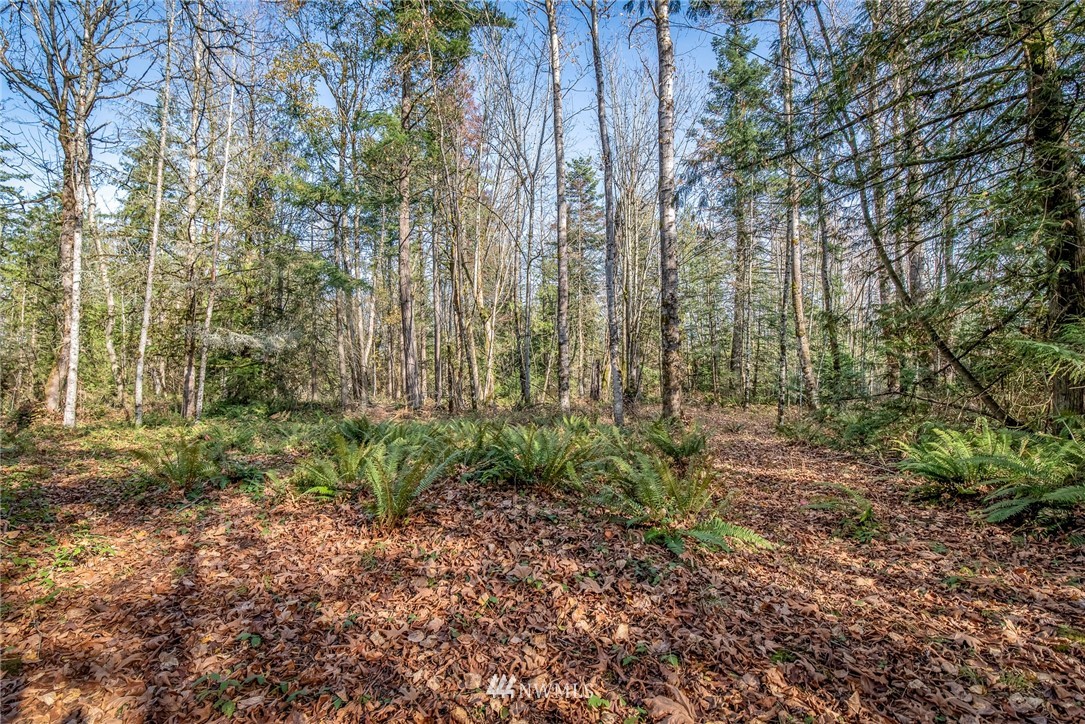 5931 Noon Road Bellingham, WA 98226 - Photo 10 of 14