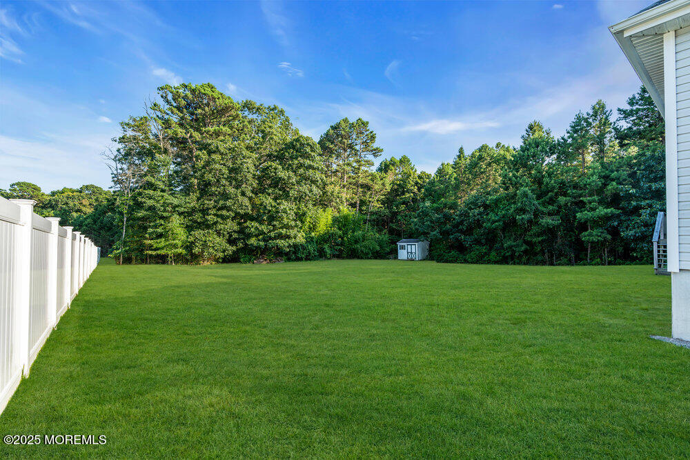 6 Eagle Ridge Lane West Creek, NJ 08092 - Photo 46 of 61 a view of a yard with a tree