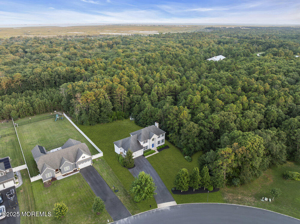 6 Eagle Ridge Lane West Creek, NJ 08092 - Photo 58 of 61 a view of a city with lush green forest