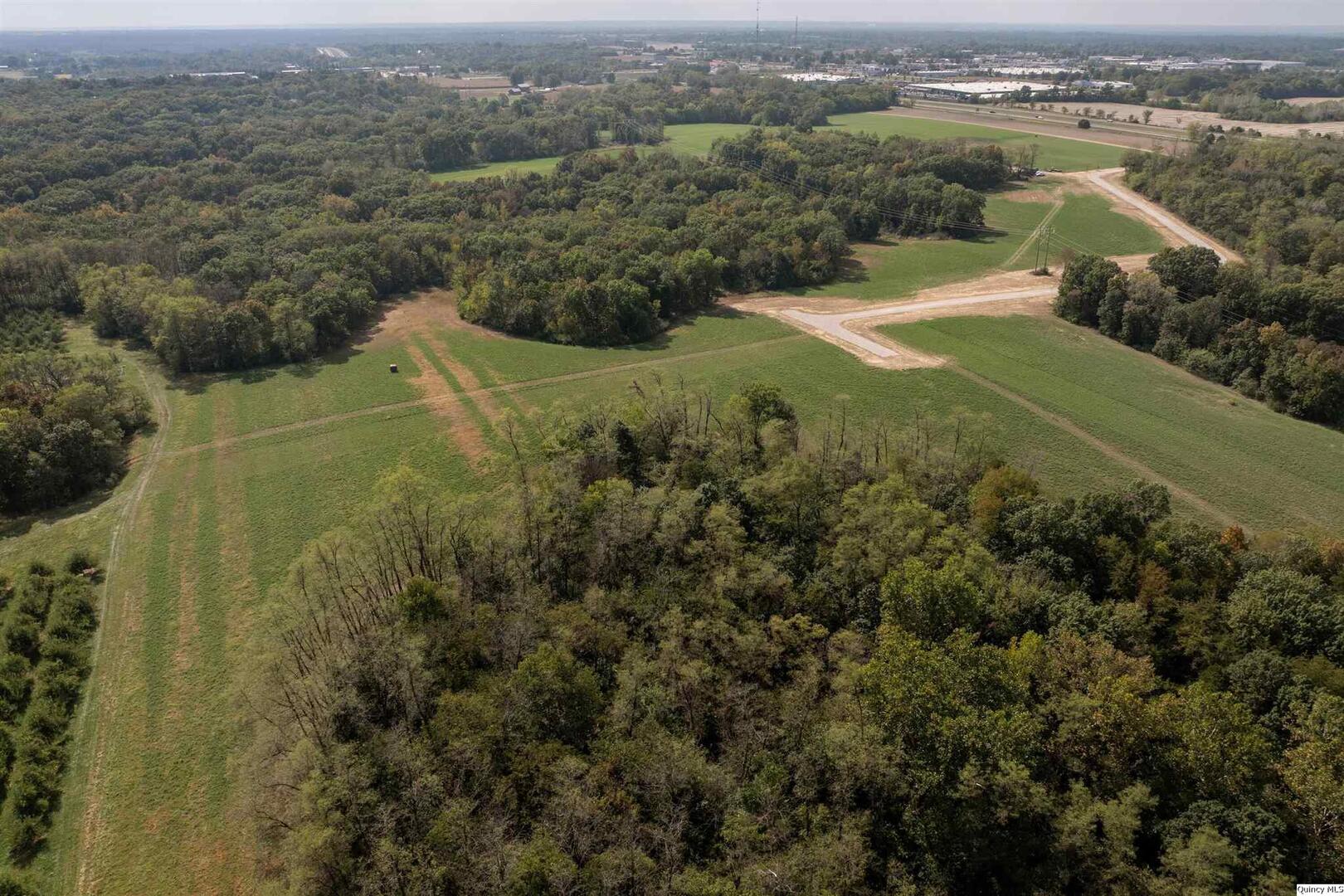 5910 Orchards Edge Lane Quincy, IL 62305 - Photo 6 of 11 an aerial view of residential houses with outdoor space and trees