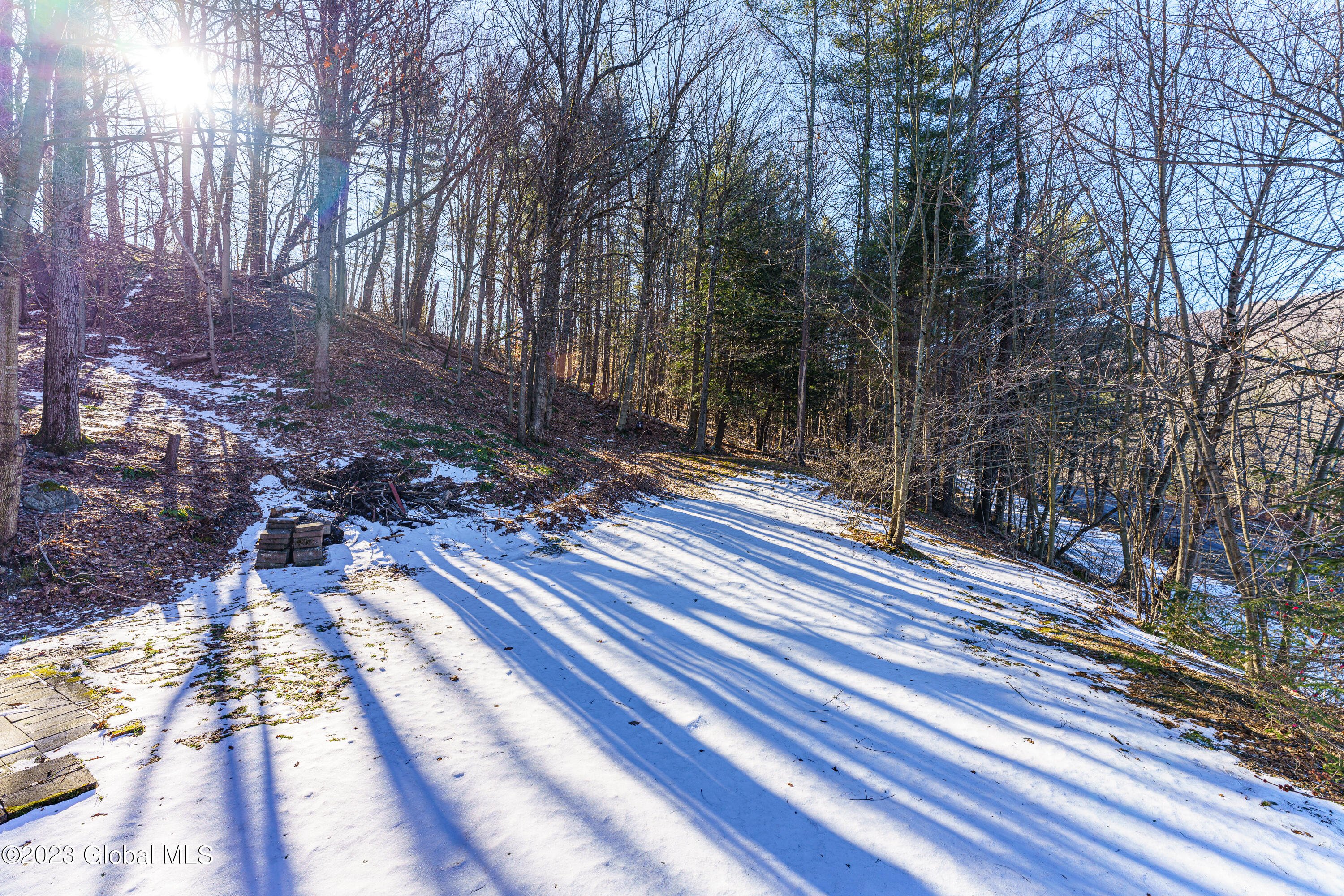 2668 Plank Road Berlin, NY 12022 - Photo 45 of 50 Yard 1