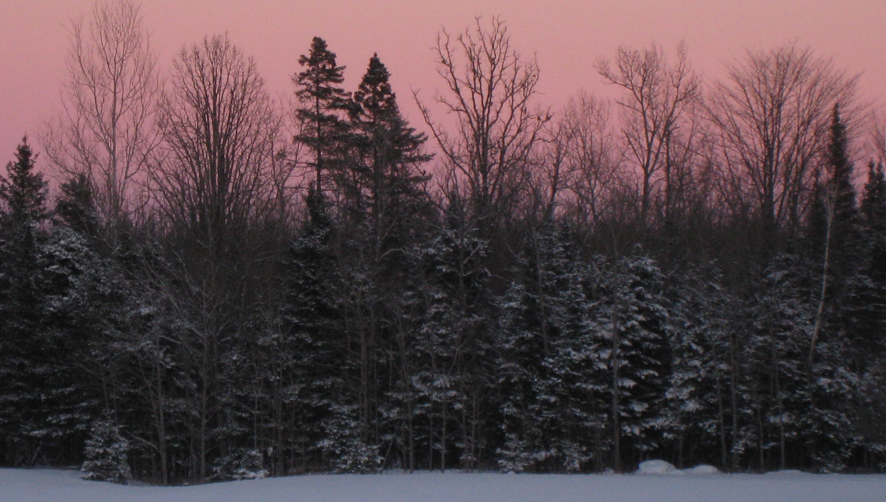 301 East 18 Mile Road Dafter, MI 49724 - Photo 49 of 74 Gallery Image 49