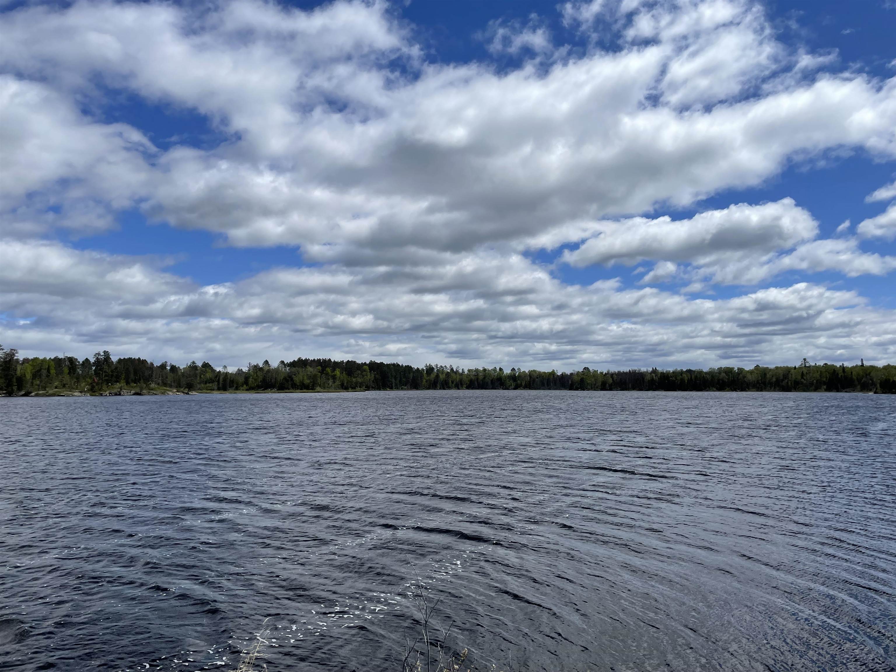 Xxxx Murray Frst Road Ely, MN 55731 - Photo 2 of 7 Water view