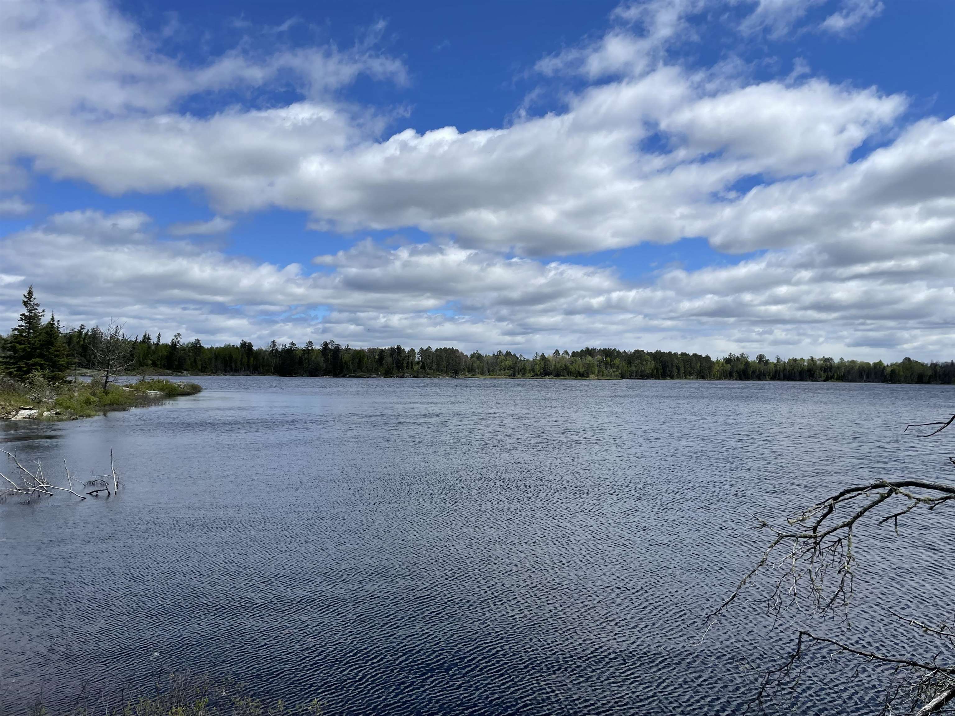Xxxx Murray Frst Road Ely, MN 55731 - Photo 4 of 7 Water view