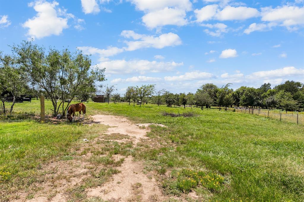 2797 County Road 3417 Wills Point, TX 75169 - Photo 12 of 22 a view of a park with large trees