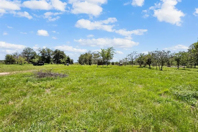 a view of a grassy field with trees