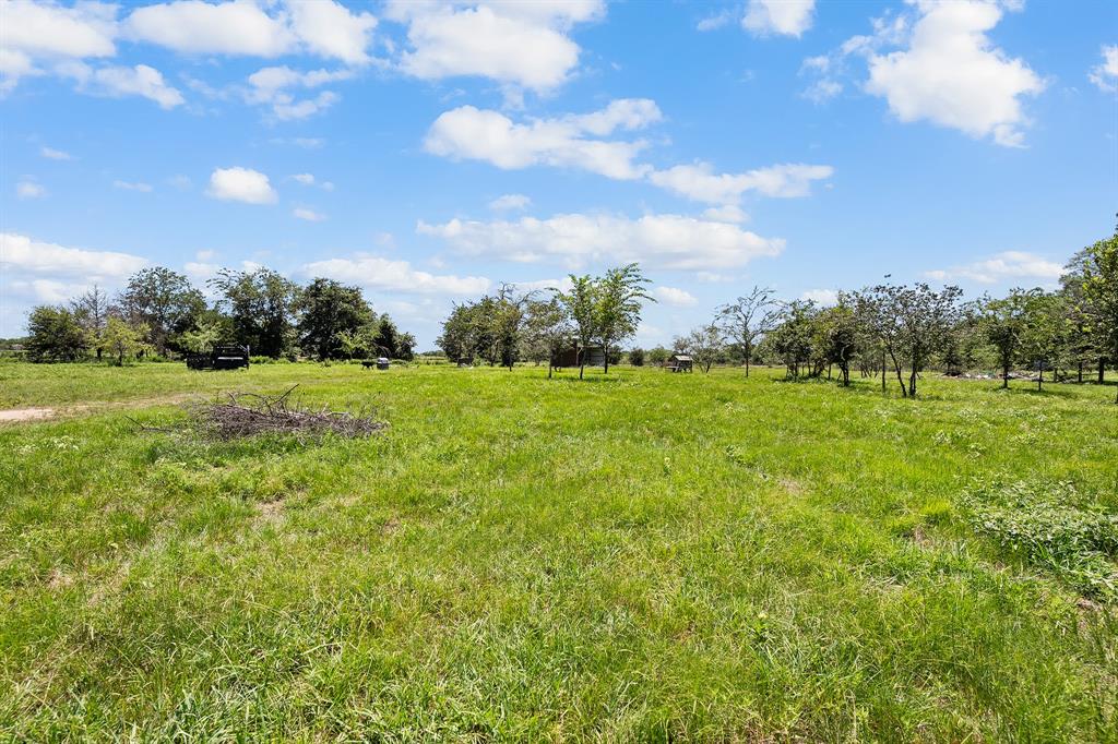 2797 County Road 3417 Wills Point, TX 75169 - Photo 7 of 22 a view of a grassy field with trees