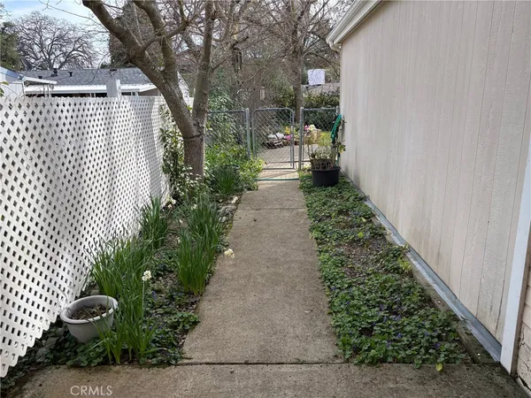 a view of a backyard with pathway