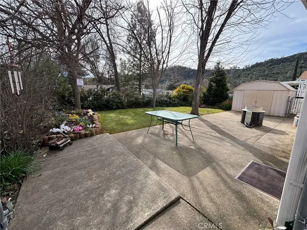 a park view with a bench and trees