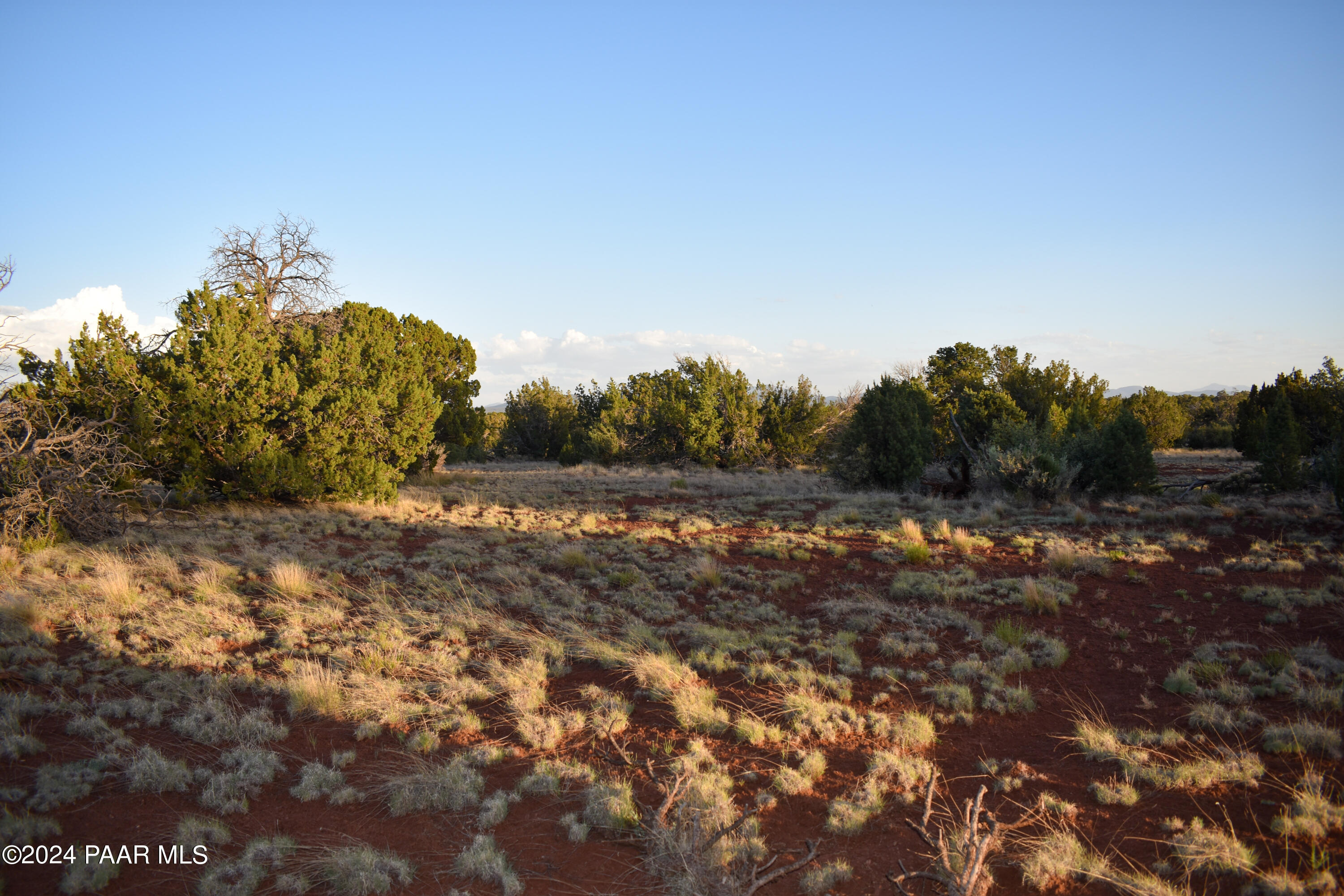 604 South Spruce Road Williams, AZ 86046 - Photo 5 of 10 View