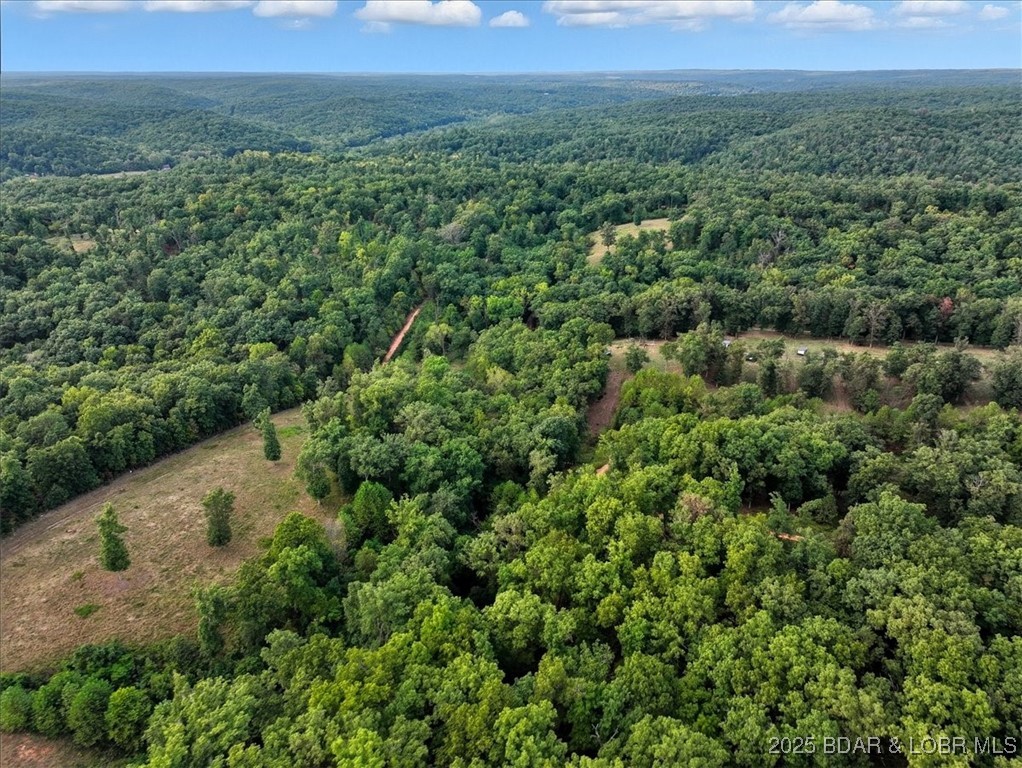 Tbd Little Buffalo Road Stover, MO 65078 - Photo 14 of 45