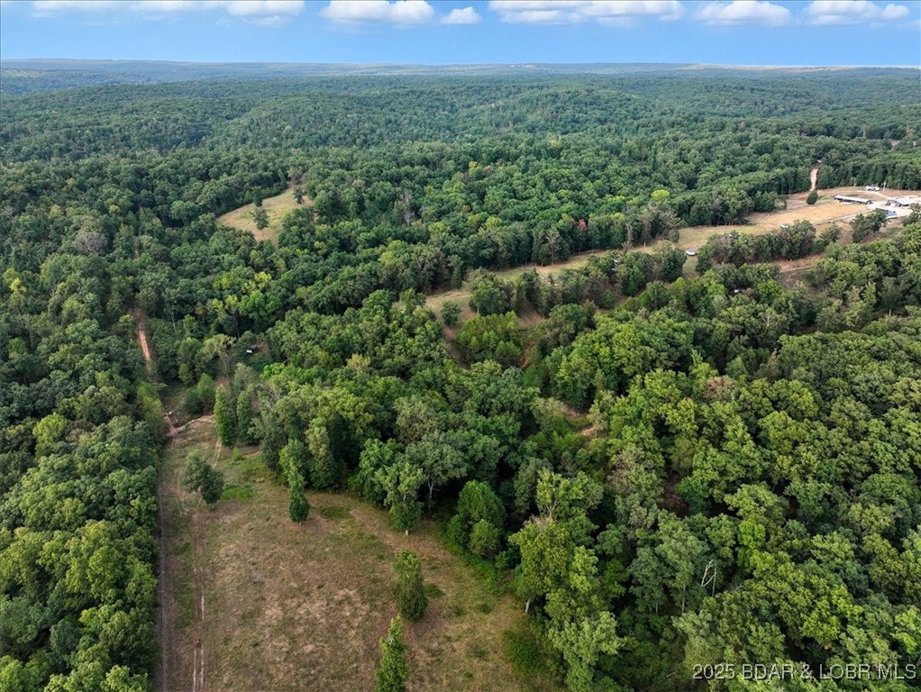 Tbd Little Buffalo Road Stover, MO 65078 - Photo 15 of 45