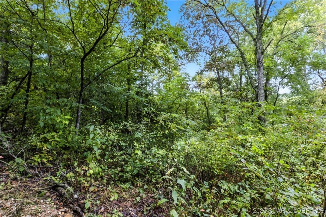 Tbd Little Buffalo Road Stover, MO 65078 - Photo 21 of 45