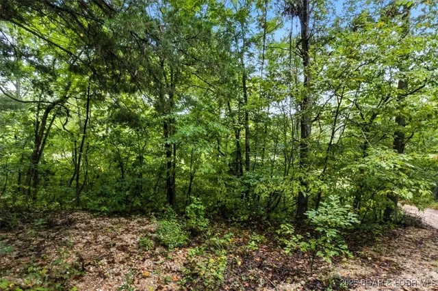 $995,000 | Tbd Little Buffalo Road, Stover, MO 65078