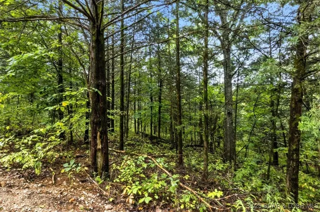 $995,000 | Tbd Little Buffalo Road, Stover, MO 65078