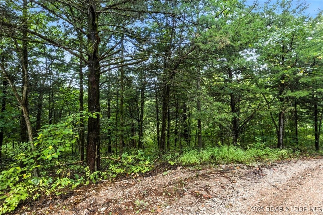 Tbd Little Buffalo Road Stover, MO 65078 - Photo 24 of 45