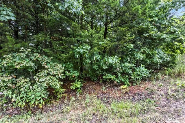 $995,000 | Tbd Little Buffalo Road, Stover, MO 65078