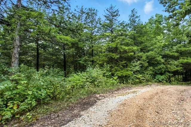 $995,000 | Tbd Little Buffalo Road, Stover, MO 65078