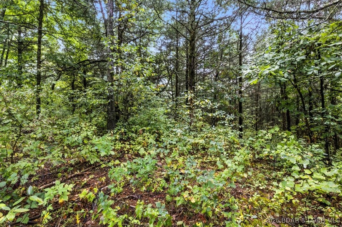 Tbd Little Buffalo Road Stover, MO 65078 - Photo 28 of 45