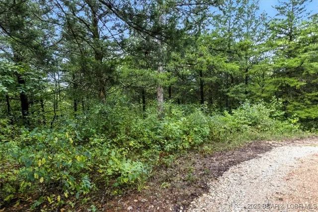 $995,000 | Tbd Little Buffalo Road, Stover, MO 65078