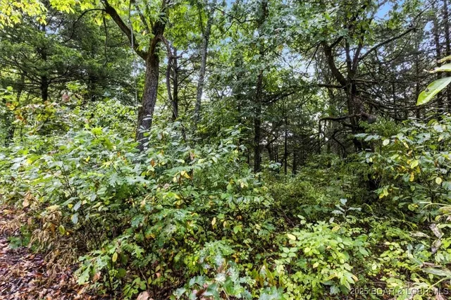 $995,000 | Tbd Little Buffalo Road, Stover, MO 65078