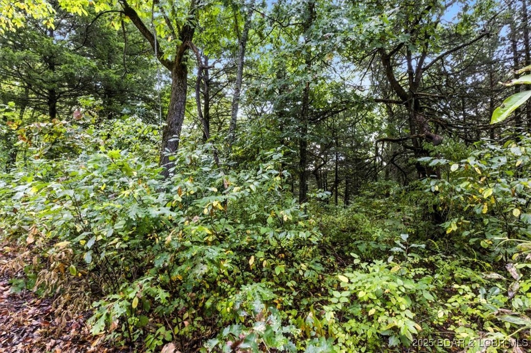 Tbd Little Buffalo Road Stover, MO 65078 - Photo 32 of 45