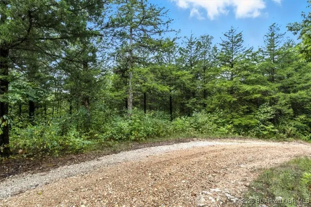 $995,000 | Tbd Little Buffalo Road, Stover, MO 65078
