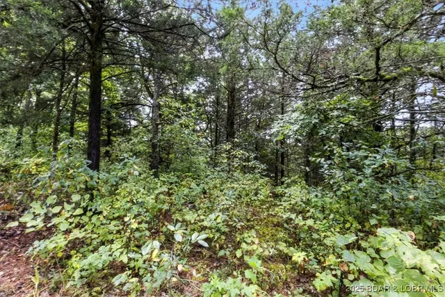 $995,000 | Tbd Little Buffalo Road, Stover, MO 65078