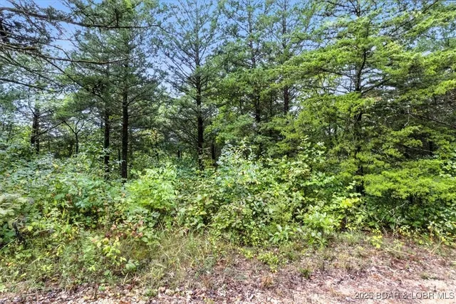 $995,000 | Tbd Little Buffalo Road, Stover, MO 65078