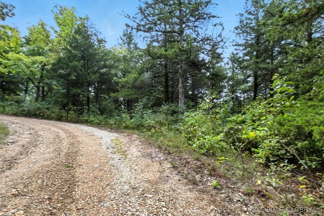 Tbd Little Buffalo Road Stover, MO 65078 - Photo 37 of 45