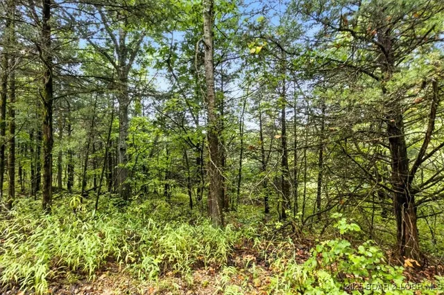 $995,000 | Tbd Little Buffalo Road, Stover, MO 65078