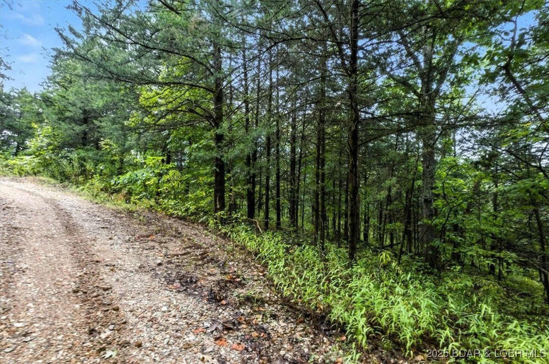 Tbd Little Buffalo Road Stover, MO 65078 - Photo 39 of 45