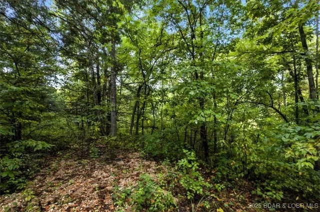 $995,000 | Tbd Little Buffalo Road, Stover, MO 65078