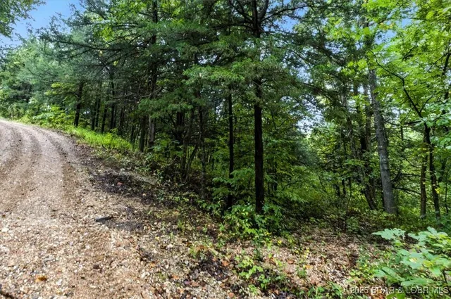 $995,000 | Tbd Little Buffalo Road, Stover, MO 65078