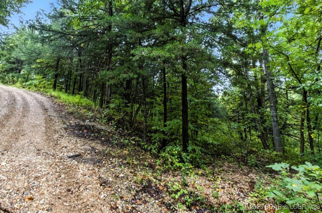 Tbd Little Buffalo Road Stover, MO 65078 - Photo 41 of 45