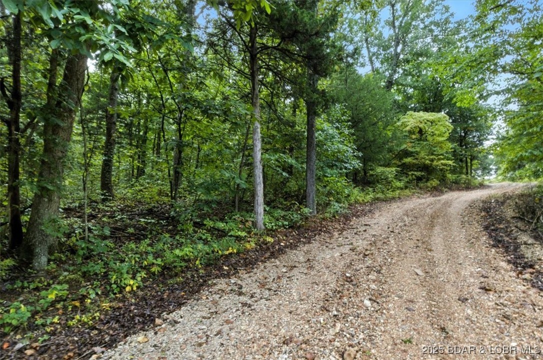Tbd Little Buffalo Road Stover, MO 65078 - Photo 42 of 45