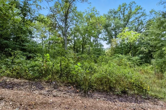 $995,000 | Tbd Little Buffalo Road, Stover, MO 65078
