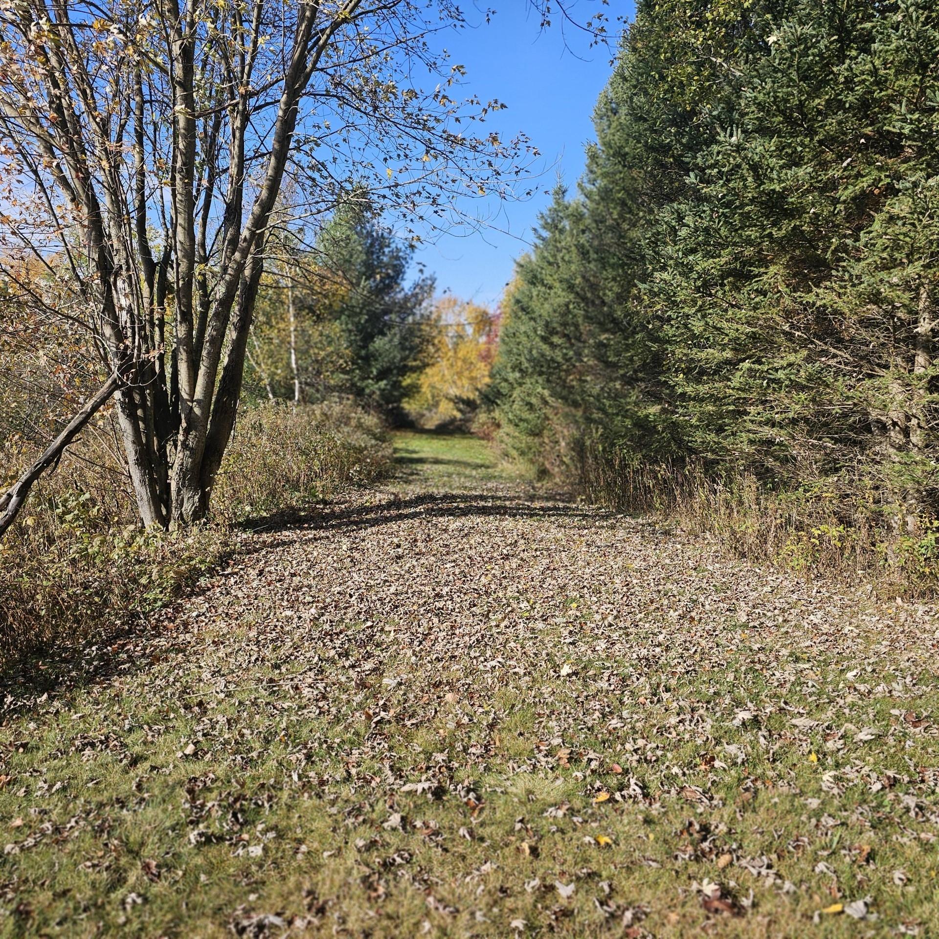 1323 Pratt Junction Road Pelican Lake, WI 54463 - Photo 17 of 24 Gallery Image 17