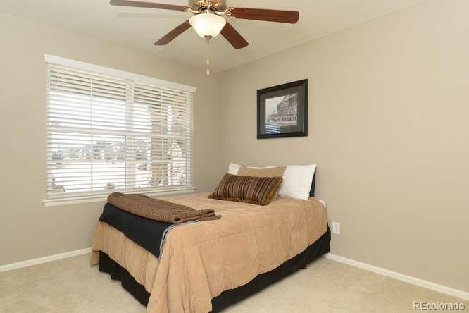 8207 Raspberry Drive Frederick, CO 80504 - Photo 19 of 24