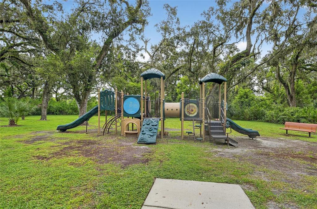 5811 Caldera Ridge Drive Lithia, FL 33547 - Photo 35 of 44 a view of outdoor space with playground and green space