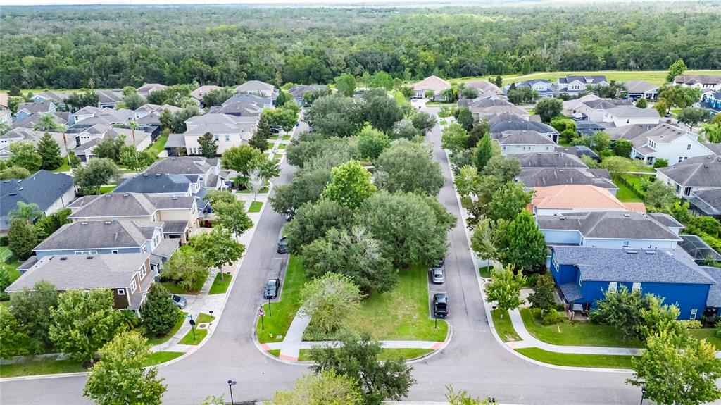 5811 Caldera Ridge Drive Lithia, FL 33547 - Photo 37 of 44 an aerial view of a