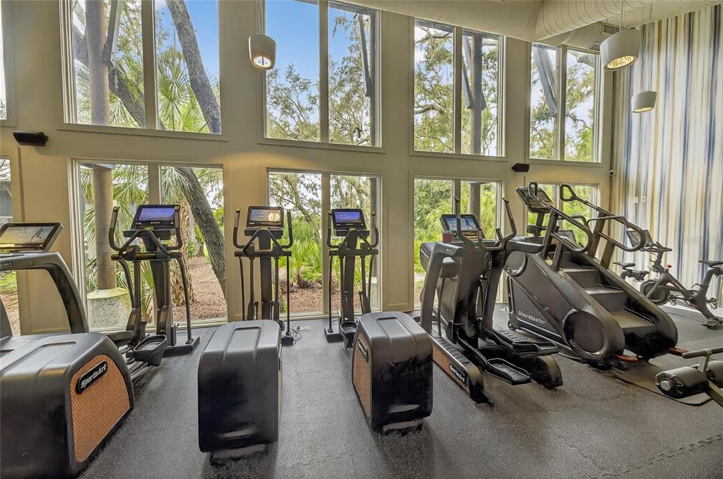 5811 Caldera Ridge Drive Lithia, FL 33547 - Photo 41 of 44 a view of a room with gym equipment