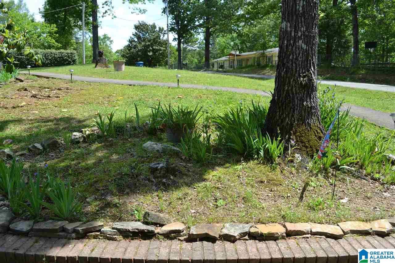 52 Oak Drive Remlap, AL 35133 - Photo 41 of 47