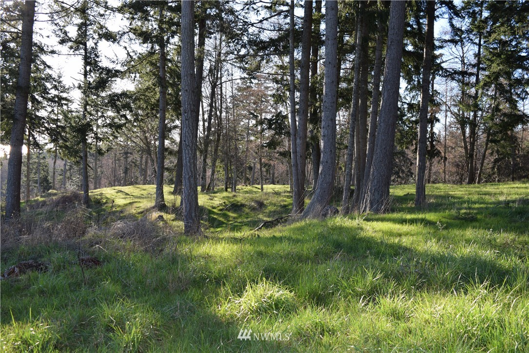 -xx Chinook Ridge Lane Oak Harbor, WA 98277 - Photo 12 of 40 Gallery Image 12