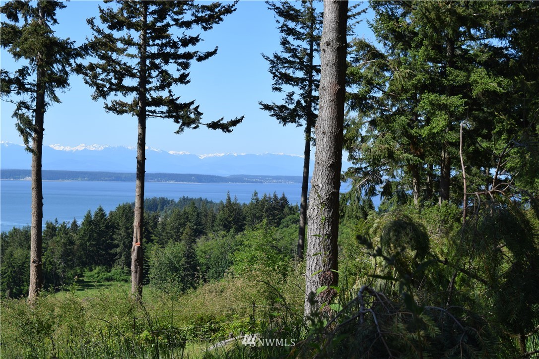 -xx Chinook Ridge Lane Oak Harbor, WA 98277 - Photo 22 of 40 Gallery Image 22