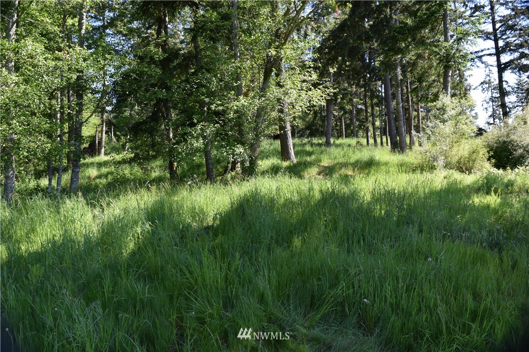 -xx Chinook Ridge Lane Oak Harbor, WA 98277 - Photo 25 of 40 Gallery Image 25