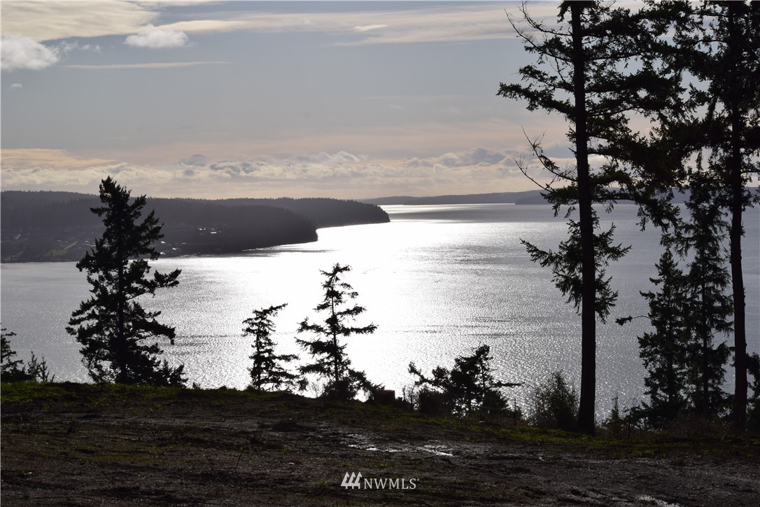 -xx Chinook Ridge Lane Oak Harbor, WA 98277 - Photo 34 of 40 Gallery Image 34