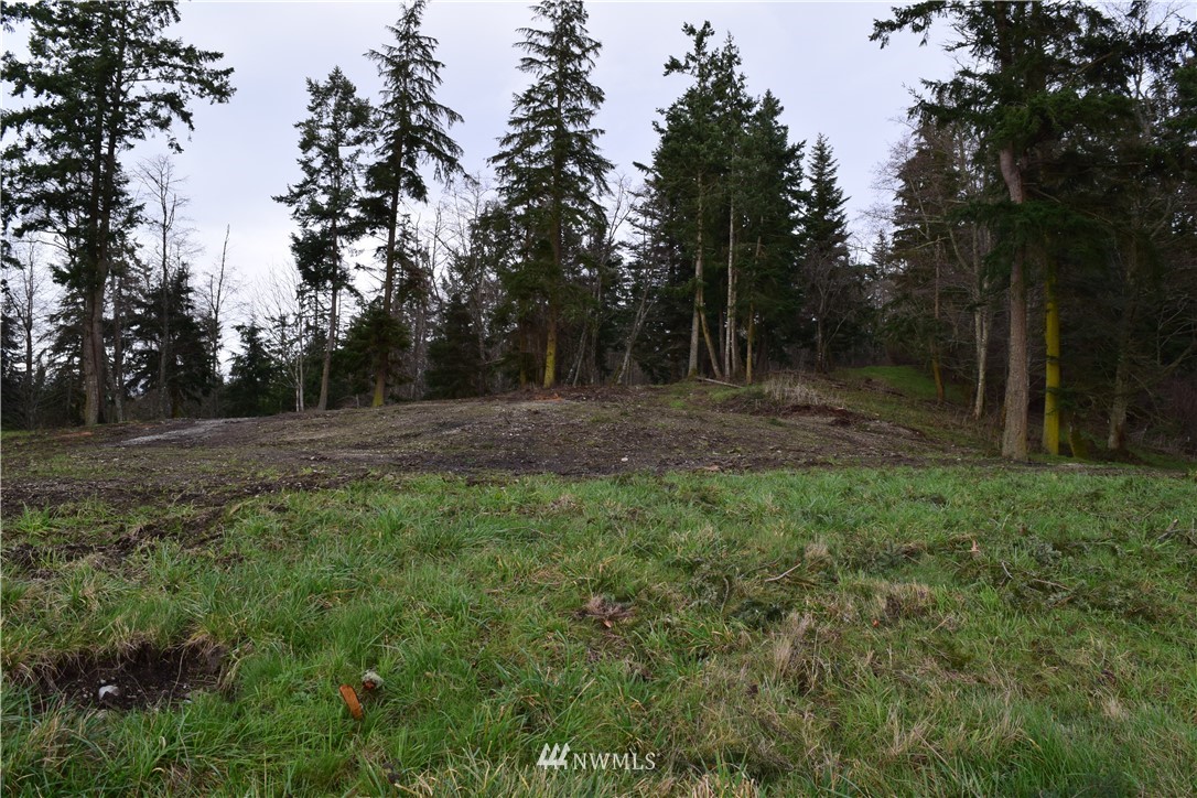 -xx Chinook Ridge Lane Oak Harbor, WA 98277 - Photo 39 of 40 Gallery Image 39