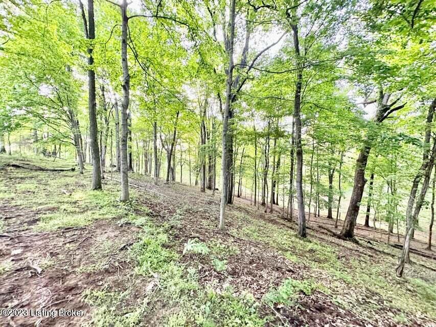 0 Ridge Road Shepherdsville, KY 40165 - Photo 14 of 24 20230521030033357455000000-o - Copy